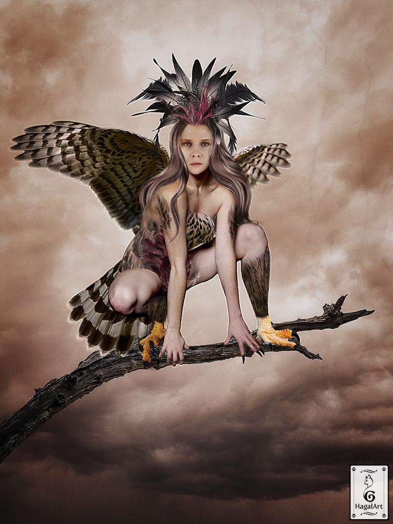 The Harpy